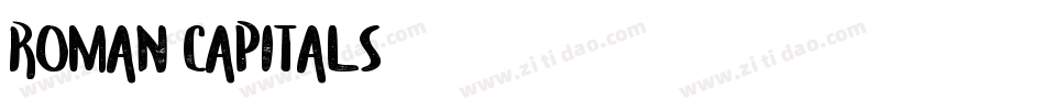 Roman Capitals字体转换